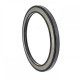 High pressure oil seal 95x120x8 BAHDSL15 NBR [Poclain MG21]